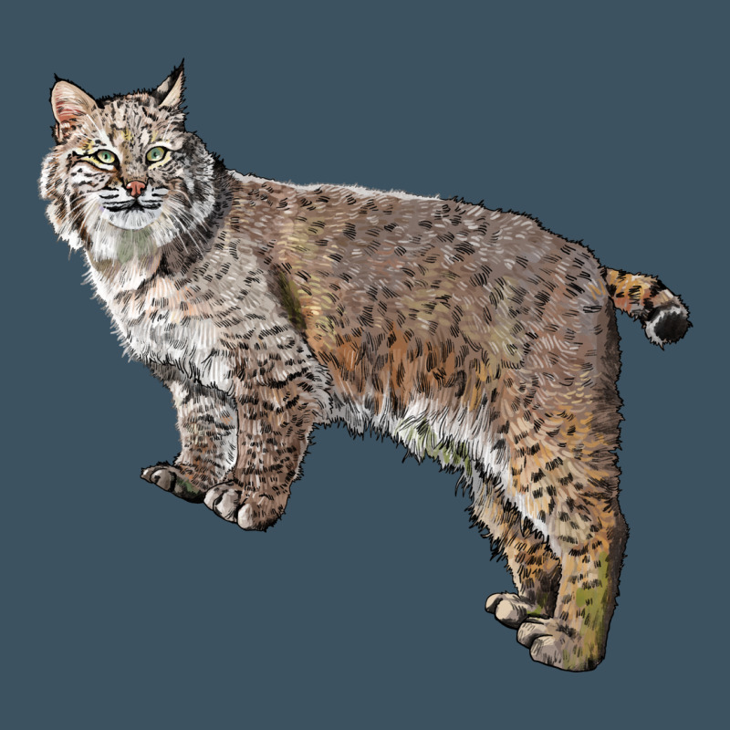 Bobcat Urban Heavy Tee by LillyAllenDesigns | Teevron