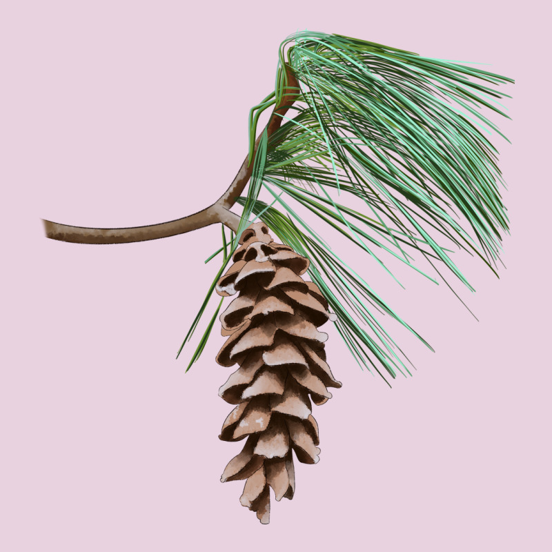 White Pine Cone Classic Tee by LillyAllenDesigns | Teevron