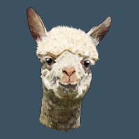 Alpaca Head Urban Heavy Tee | Teevron
