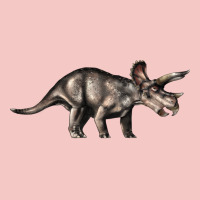 Triceratops Horridus Urban Heavy Tee | Teevron