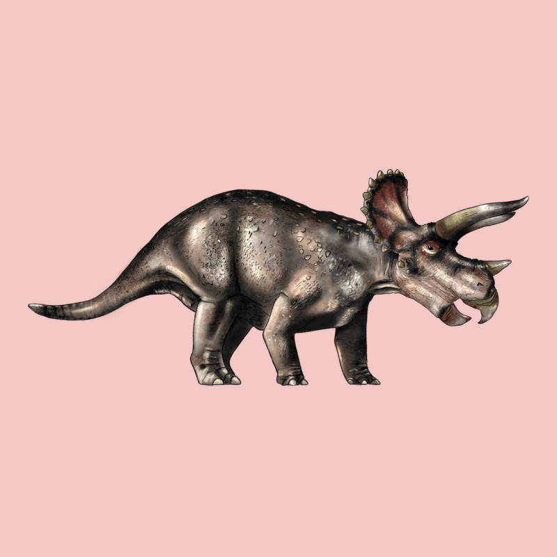 Triceratops Horridus Urban Heavy Tee by LillyAllenDesigns | Teevron
