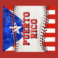 Baseball Puerto Rico Tumbler Tbs Premium Hoodie | Teevron
