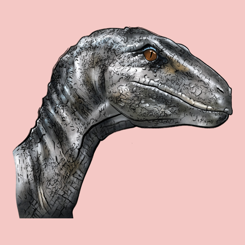 Velociraptor Face Urban Heavy Tee by LillyAllenDesigns | Teevron