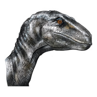 Velociraptor Face | Teevron