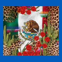 Mexico Flag Urban Hoodie | Teevron
