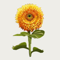 Gummy Bear Sunflower Zipper Hoodie | Teevron
