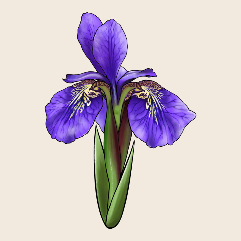 Iris Flower Zipper Hoodie by LillyAllenDesigns | Teevron