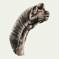 Brachiosaurus Face Urban Heavy Tee | Teevron
