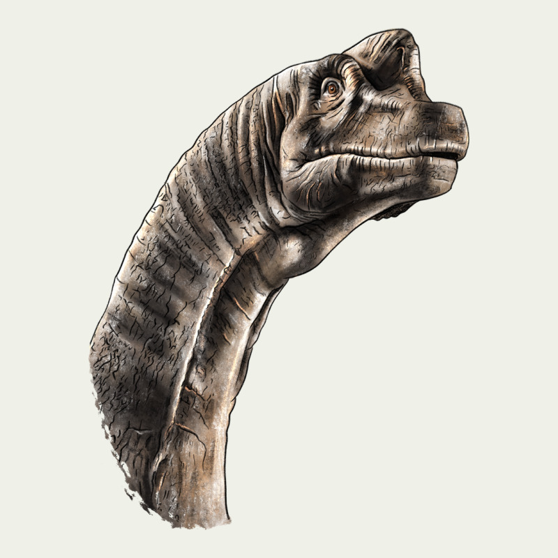 Brachiosaurus Face Urban Heavy Tee by LillyAllenDesigns | Teevron