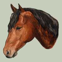 Horse Ladies Tee | Teevron