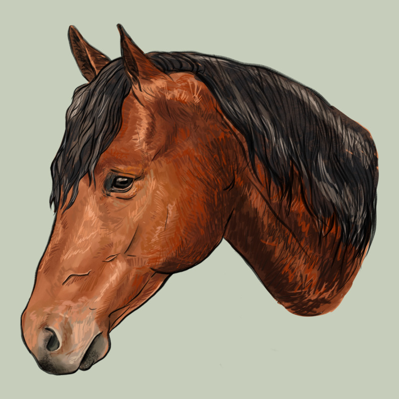 Horse Ladies Tee by RanaPortraitStore | Teevron