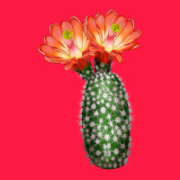 King Cup Cactus Zipper Hoodie | Teevron