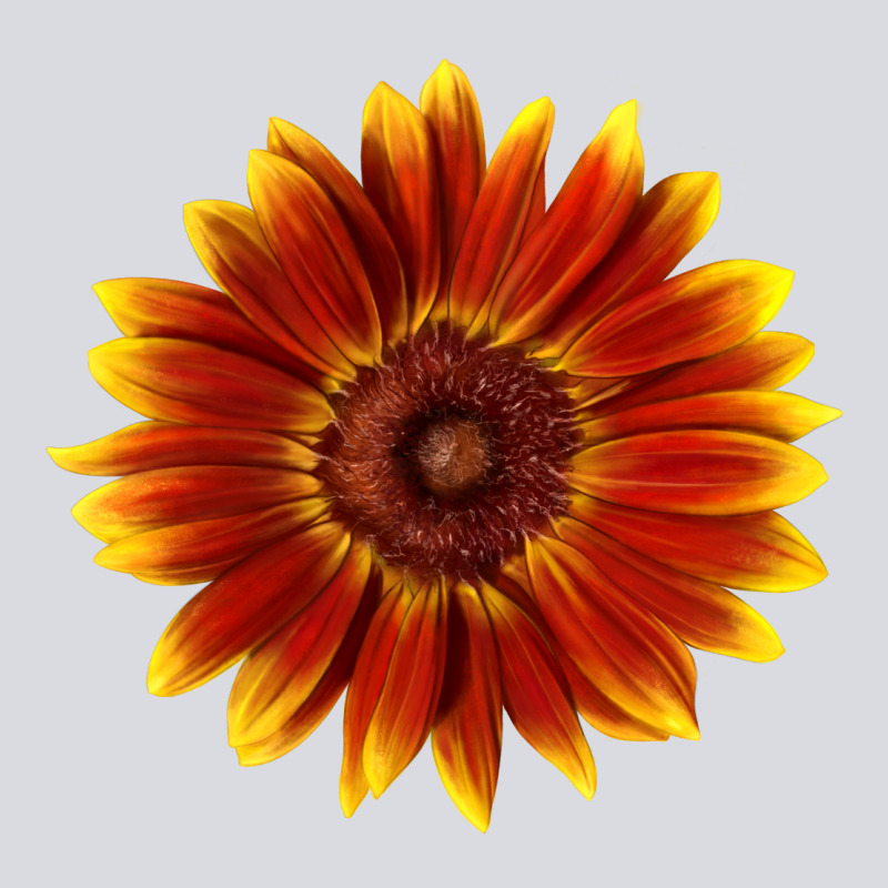 Little Becka Sunflower Zipper Hoodie by LillyAllenDesigns | Teevron