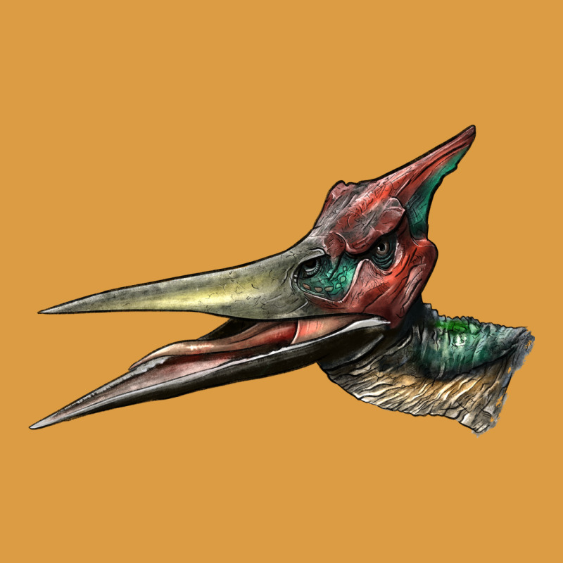 Pteranodon Face Urban Heavy Tee by LillyAllenDesigns | Teevron