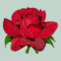 Oklahoma Rose Illustrations Zipper Hoodie | Teevron