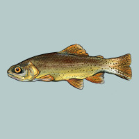 Arizona Apache Trout Fish Heavy Core Tee | Teevron