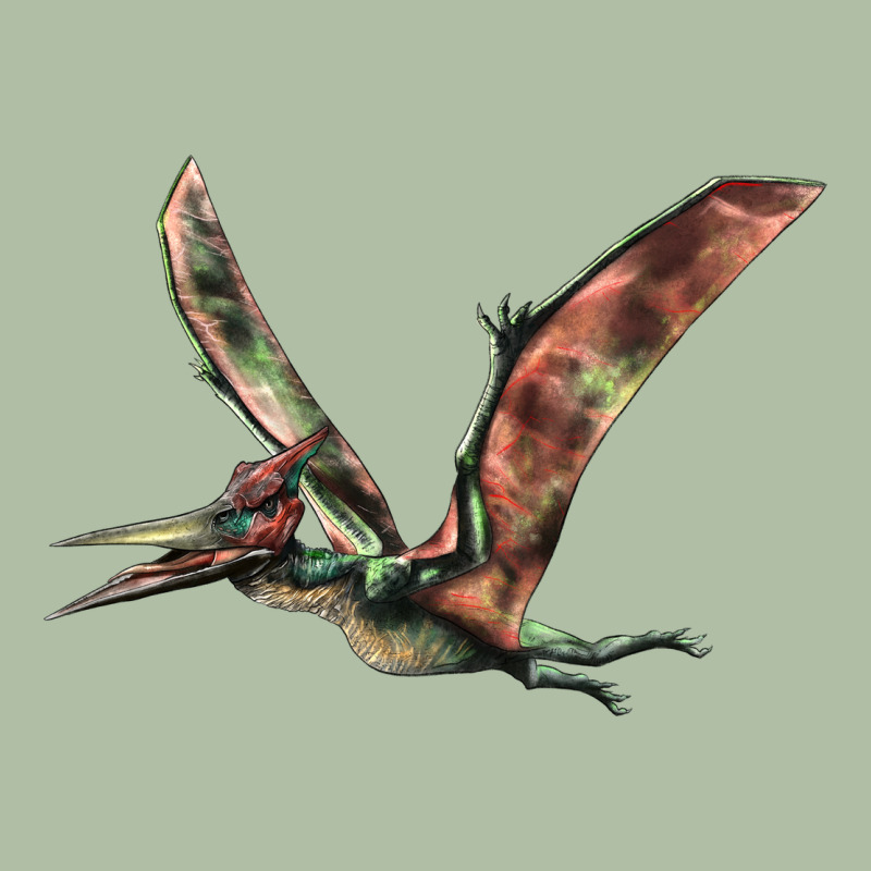 Pteranodon Urban Heavy Tee by LillyAllenDesigns | Teevron