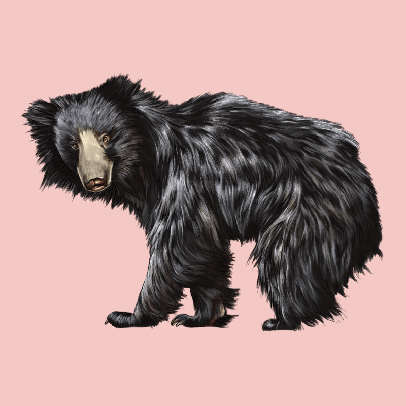 Sloth Bear Urban Heavy Tee by LillyAllenDesigns | Teevron