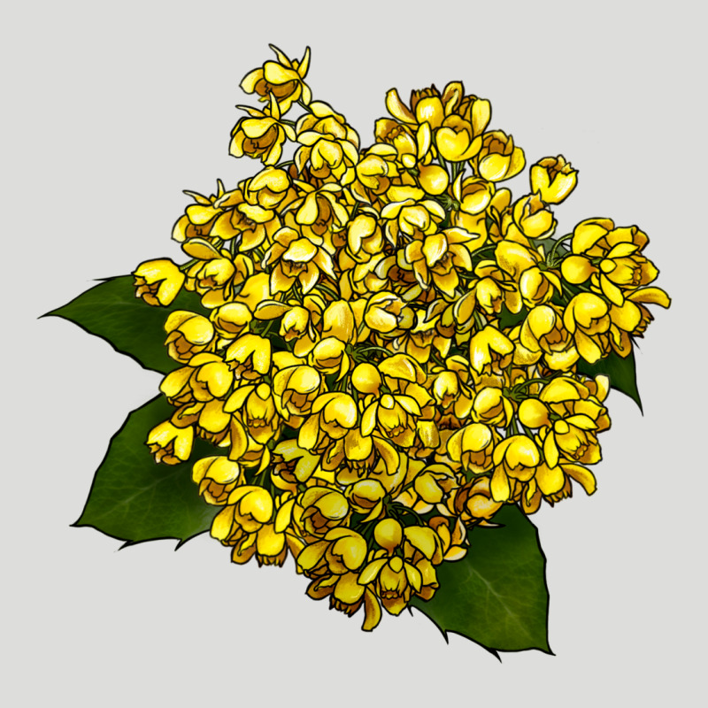 Oregon Grape Flower Illustrations Zipper Hoodie by LillyAllenDesigns | Teevron