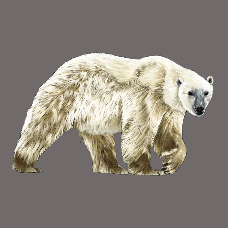Polar Bear Urban Heavy Tee by LillyAllenDesigns | Teevron