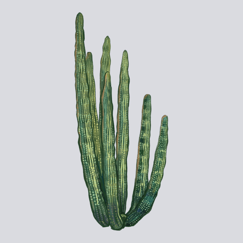 Organ Pipe Cactus Zipper Hoodie by LillyAllenDesigns | Teevron