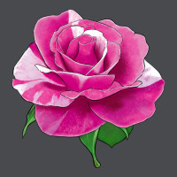 Parade Day Rose Zipper Hoodie | Teevron