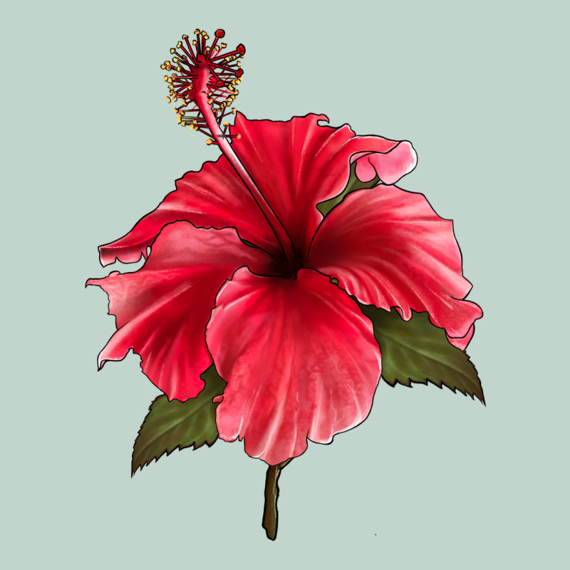 Puerto Rican Hibiscus Flower Zipper Hoodie by LillyAllenDesigns | Teevron
