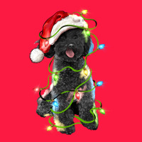 Christmas Black Poodles Dog Zipper Hoodie | Teevron
