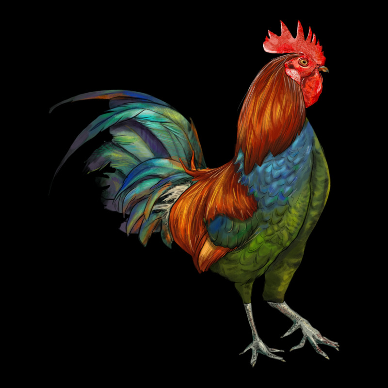 Rooster Ladies Tee by RanaPortraitStore | Teevron