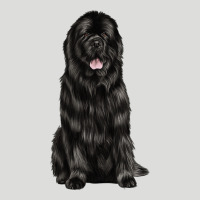 Newfoundland Dog Zipper Hoodie | Teevron