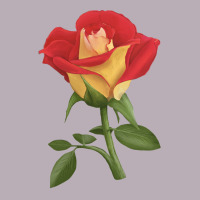 Ketchup And Mustard Rose Vintage Tee | Teevron