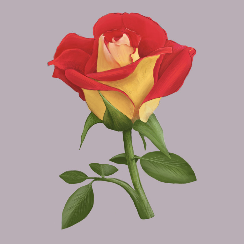 Ketchup And Mustard Rose Vintage Tee by LillyAllenDesigns | Teevron
