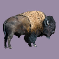 Bison Buffalo Classic Tee | Teevron