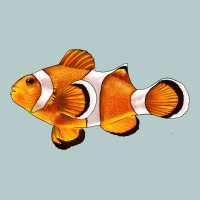 Clown Fish Side Heavy Core Tee | Teevron
