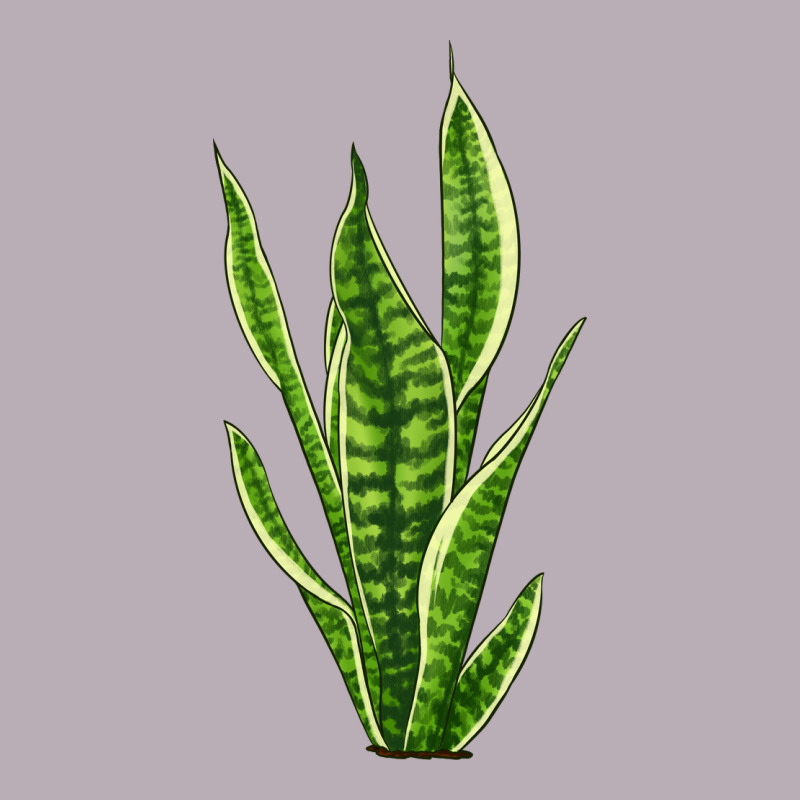 Snake Plant Vintage Tee by LillyAllenDesigns | Teevron