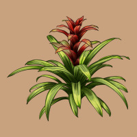 Bromeliads Vintage Tee | Teevron