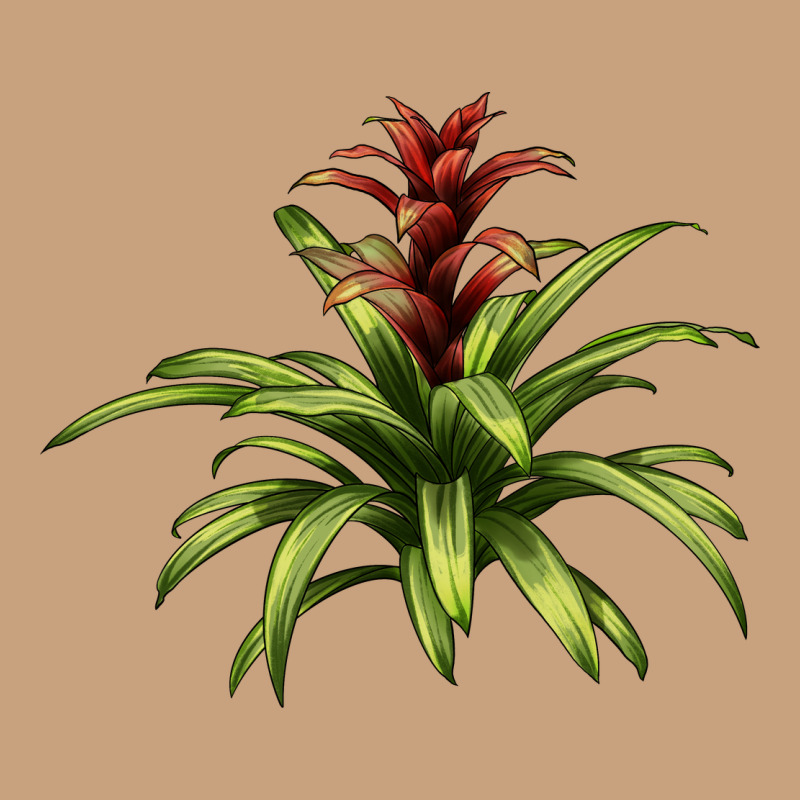 Bromeliads Vintage Tee by LillyAllenDesigns | Teevron