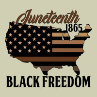 Juneteenth 1865 Black Freedom Heavy Core Tee | Teevron