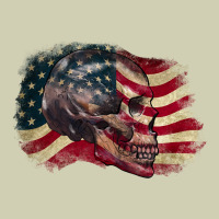 Red White Rawr 4th Of July Heavy Core Tee | Teevron