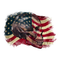 Red white rawr 4th of July | Teevron