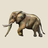 Elephant Urban Heavy Tee | Teevron