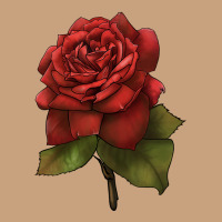 Oklahoma Rose Illustrations Vintage Tee | Teevron