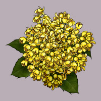 Oregon Grape Flower Illustrations Vintage Tee | Teevron
