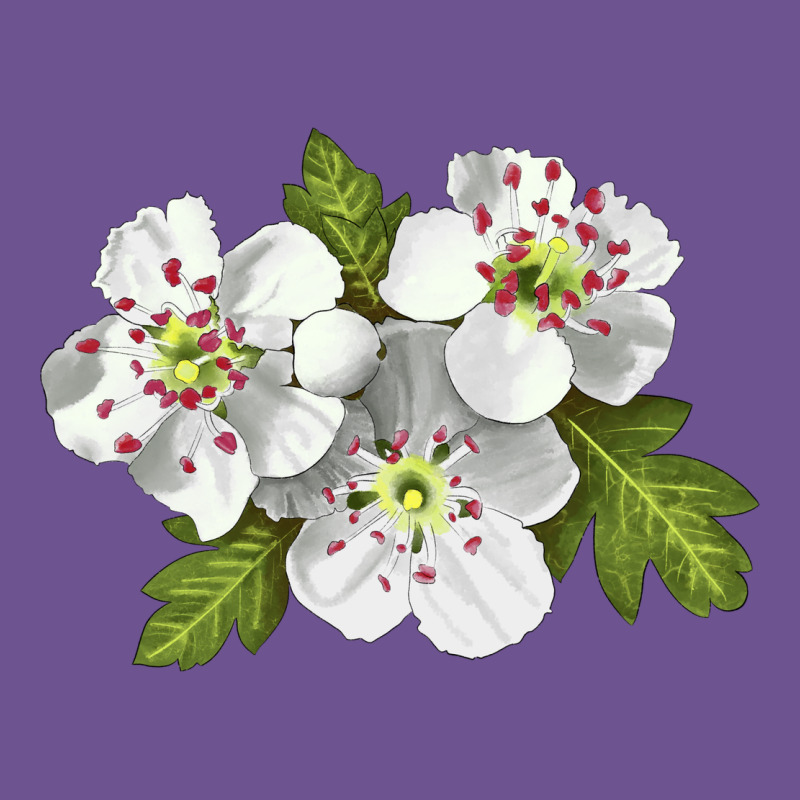 Hawthorn Flower Illustrations Vintage Tee by LillyAllenDesigns | Teevron