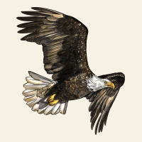 White Headed Eagle Vintage Tee | Teevron