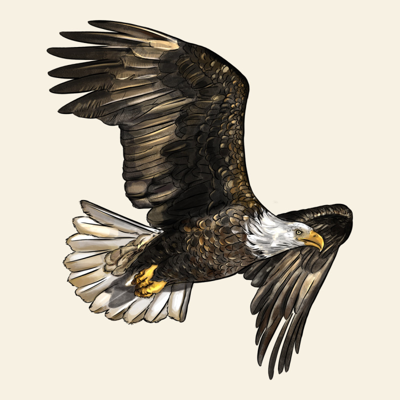 White Headed Eagle Vintage Tee by LillyAllenDesigns | Teevron