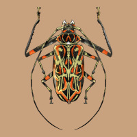 Acrocinus Beetle Illustrations Vintage Tee | Teevron