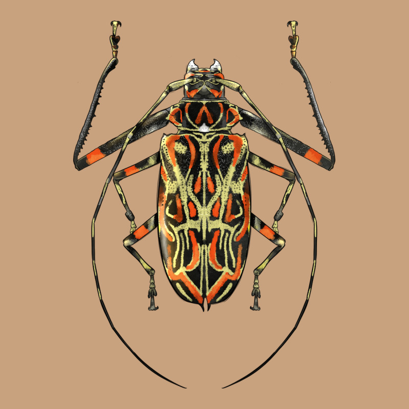 Acrocinus Beetle Illustrations Vintage Tee by LillyAllenDesigns | Teevron