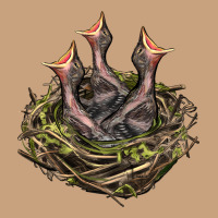 Bird Nest With Baby Birds Vintage Tee | Teevron