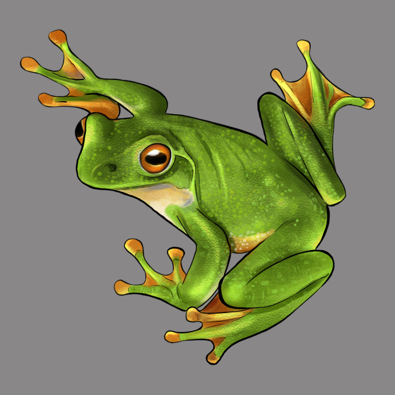 White Lipped Tree Frog Illustrations Vintage Tee by LillyAllenDesigns | Teevron